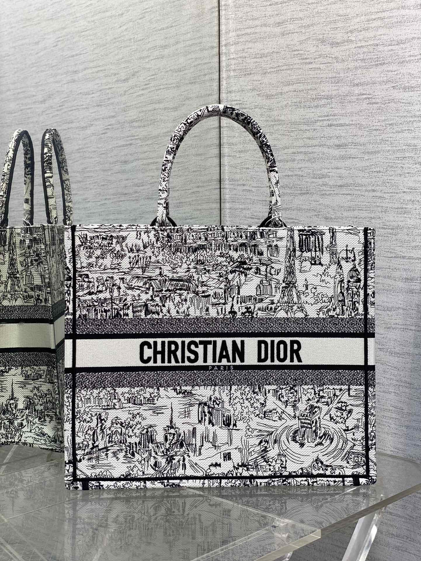 Large Dior Book Tote Bag White and Black Paris Allover Embroidery